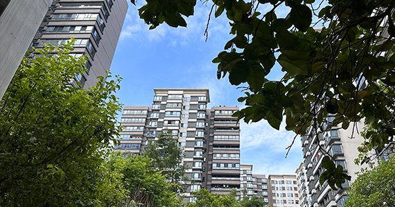 痛骂昨天国内的域名注册查询