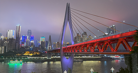 国外品牌在国内网站的域名查询不到